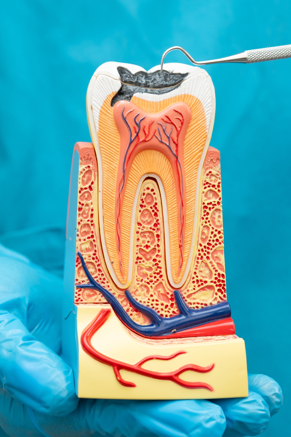 Cliniques-dentaires-montmagny-chaudiere-appalaches-48